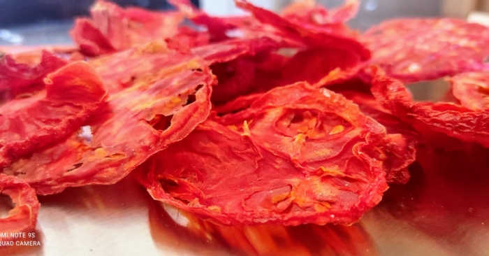 SEBZE ve MEYVE KURUTMA